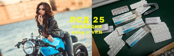 apvp Белокуриха