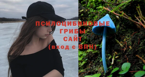 молекула духа Богородск