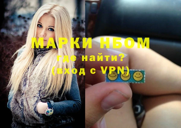 молекула духа Богородск