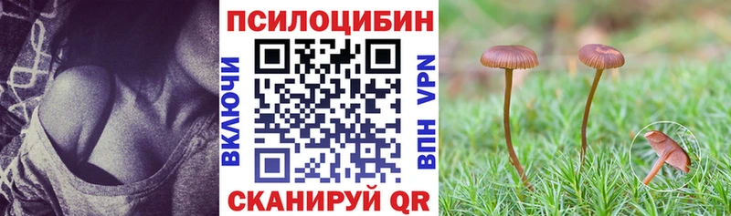 Псилоцибиновые грибы MAGIC MUSHROOMS  Сердобск 
